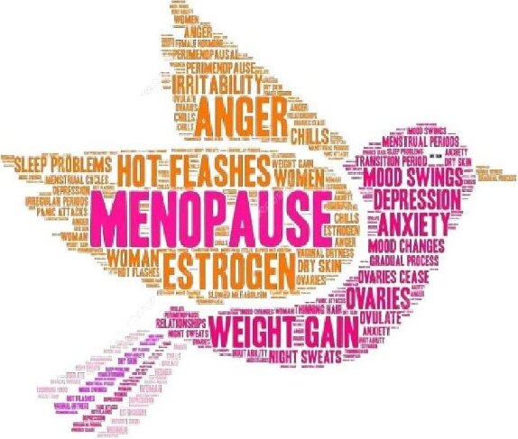 Menopause Support Shetland Logo